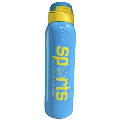 купить Термос для напитков miscellaneous 5720 Термос SPORT 500 мл 57426 в Кишинёве 