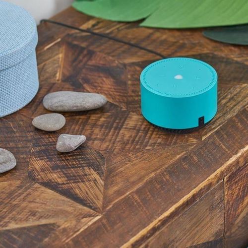 купить Колонка портативная Bluetooth Yandex YNDX-00025 Mint в Кишинёве 