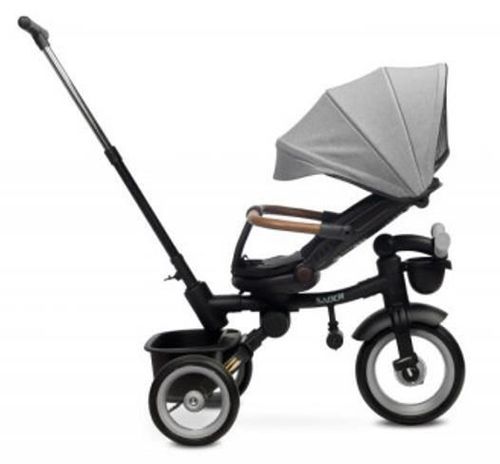 купить Велосипед-коляска Toyz 0365 Saber Grey в Кишинёве 