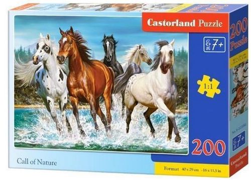 купить Головоломка Castorland Puzzle B-222056 Puzzle 200 elemente в Кишинёве 