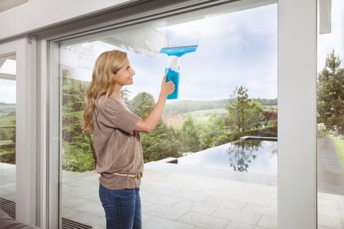 купить Стеклоочиститель Thomas Windowjet 2in1 в Кишинёве 