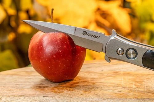 купить Нож походный Ganzo G707 knife в Кишинёве 