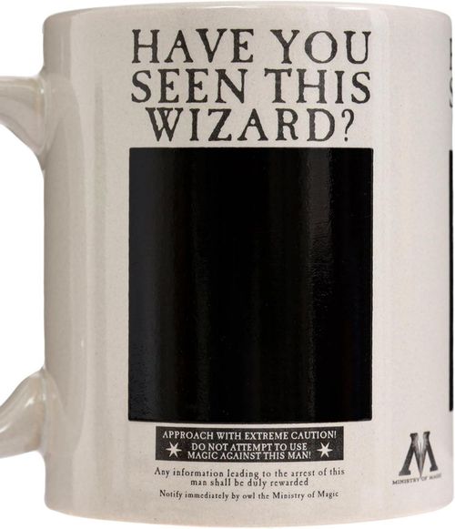 cumpără Cană Pyramid International SCMG25012 HARRY POTTER (WANTED SIRIUS) HEAT CHANGE MUG în Chișinău 
