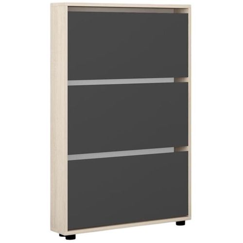 купить Полка для обуви Mobildor-Lux Leo Slim 100x16x125H cm Sonoma/Anthracite в Кишинёве 