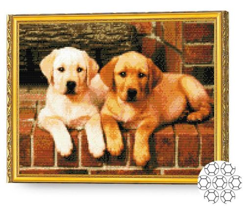 cumpără Tablou pe numere Art Gallery GA75109 Mozaic cu diamante 40x50cm Frati aurii în Chișinău 