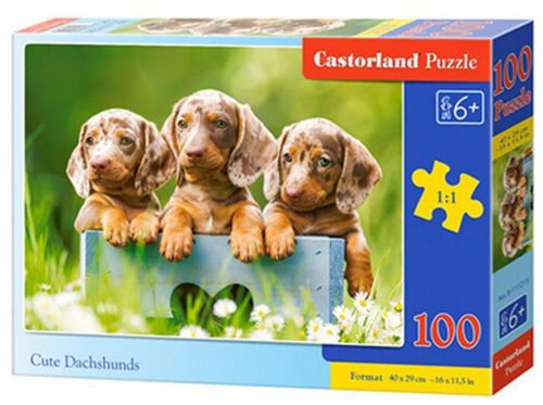 купить Головоломка Castorland Puzzle B-111213 Puzzle 100 elemente в Кишинёве 