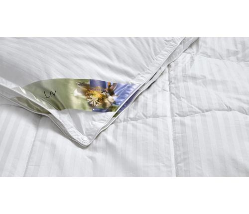 cumpără Plapumă Polydaun 1PRO8220220 Liv dekbed 4-seizoenen 200x220 White în Chișinău 