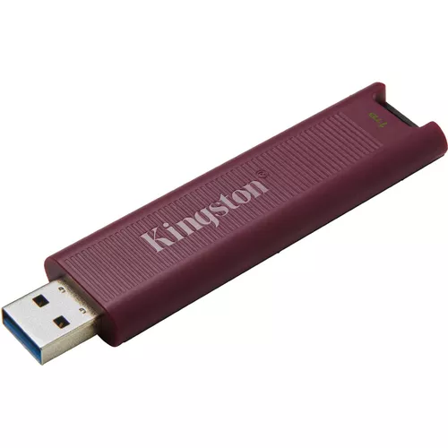 cumpără USB flash memorie Kingston DTMAXA/1TB în Chișinău 
