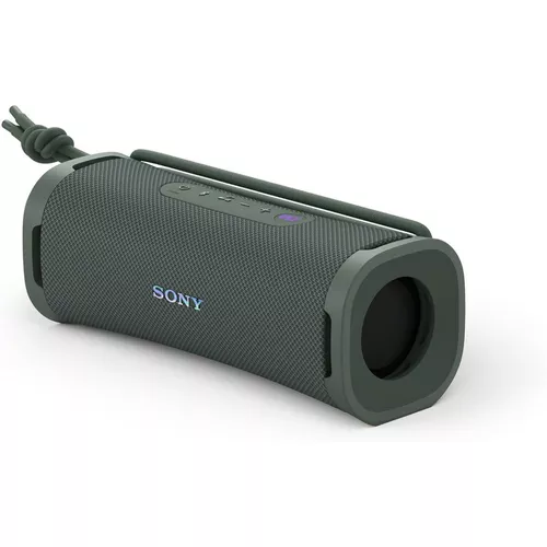 cumpără Boxă portativă Bluetooth Sony ULT Field 1 Forest Gray SRSULT10H în Chișinău 