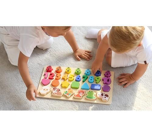 cumpără Sortator Kids Hits KH20/027 Деревянный сортер First Lessons în Chișinău 