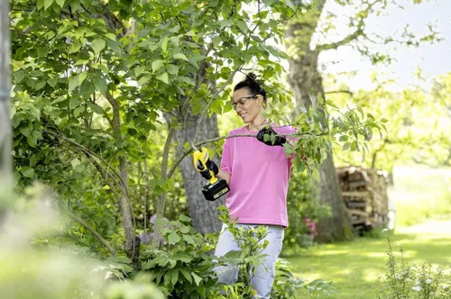 cumpără Foarfecă de gradină Karcher TLO 2-18 Battery (1.445-340.0) în Chișinău 