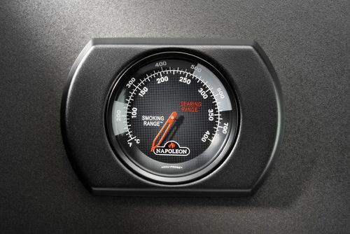 купить Мангал Napoleon Gratar pe gaz Rogue Pro-S 525 Phantom cu Sizzle Zone Infrared (RPS525RSIBPMK-2) в Кишинёве 