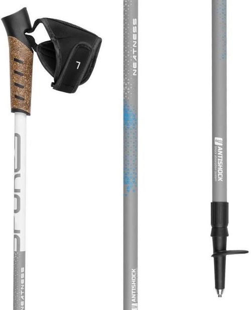 cumpără Bețe pentru trekking Spokey 924982 Neatness II în Chișinău 