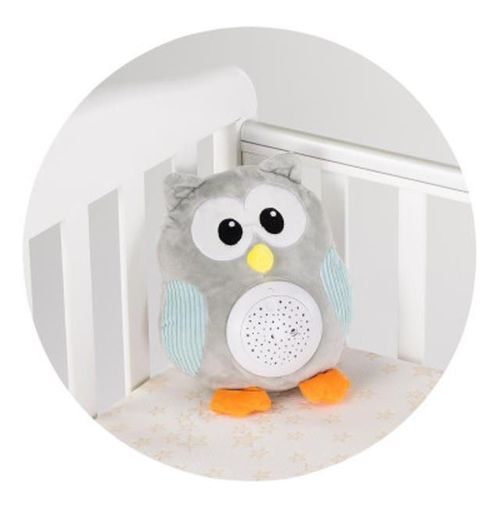 купить Мягкая игрушка Chipolino Owl PIL025020OWL (проектор муз) в Кишинёве 