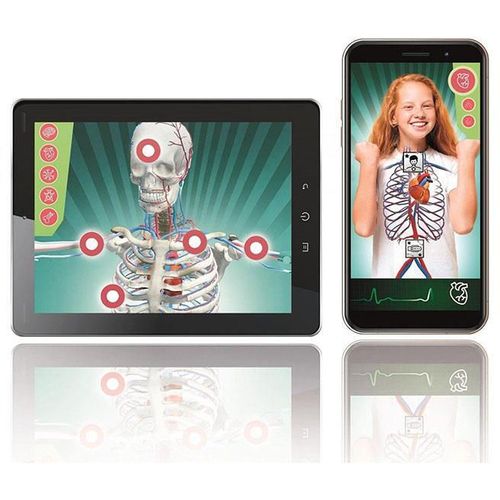 cumpără Set de creație Clementoni Super anatomie (75104) în Chișinău 