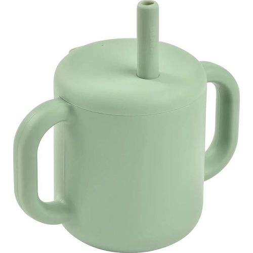 купить Поильник Beaba B913573 Cana de antrenament cu pai din silicon Sage Green в Кишинёве 