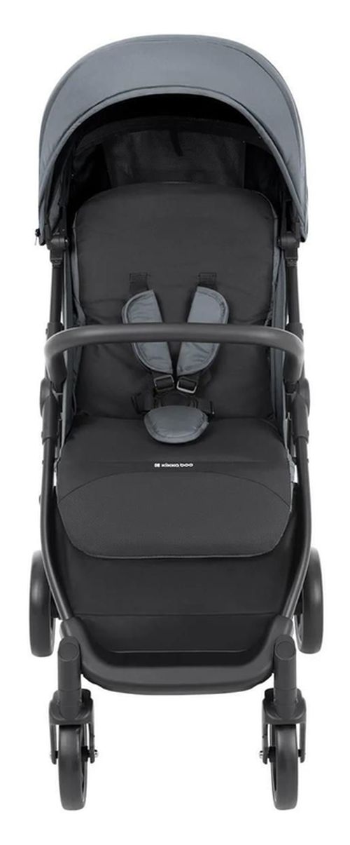 купить Детская коляска Kikka Boo 31001030181 Alexa Light Grey в Кишинёве 