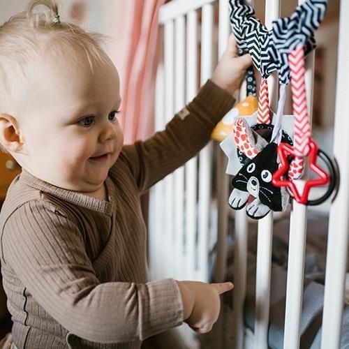 cumpără Jucărie cu pandantiv BabyOno 797 Jucarie educationala p/u carucioare CHEESE &SKIP în Chișinău 