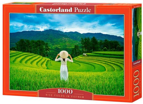 купить Головоломка Castorland Puzzle C-105052 Puzzle 1000 elemente в Кишинёве 