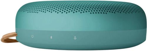 купить Колонка портативная Bluetooth Bang & Olufsen Beosound A1 3rd Gen Eucalyptus Green в Кишинёве 