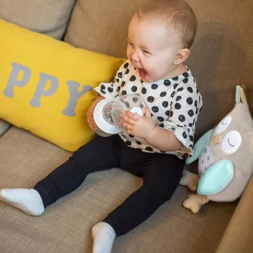 cumpără Jucărie de pluș BabyOno 0441 Jucarie cu zuruitoare OWL SOFIA în Chișinău 