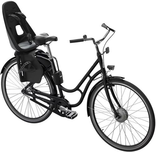 купить Транспорт для детей THULE Scaun bicicleta Yepp Nexxt Maxi FM Grey в Кишинёве 