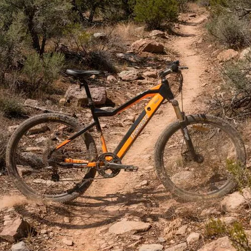 cumpără Bicicletă Villager Bicicleta electrica STORMRIDER 250W în Chișinău 