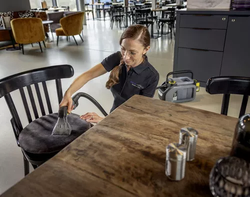 купить Пылесос моющий Karcher Puzzi 2/1 Bp (1.101-750.0) в Кишинёве 