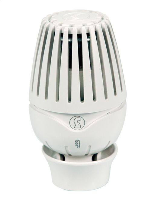 Термостатическая головка Giacomini R460 с жидкостным датчиком, с настройкой против замораживания (R460X001) 