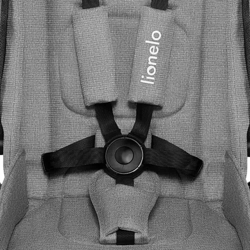 купить Детская коляска Lionelo Mika 2in1 Grey Stone в Кишинёве 