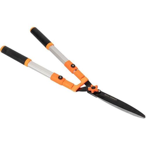 купить Ножницы садовые Micul Fermier extensibil (GF-0478) в Кишинёве 