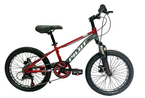 купить Велосипед Richi GI-9 / 2 rosu PILOT pentru copii 20' в Кишинёве 