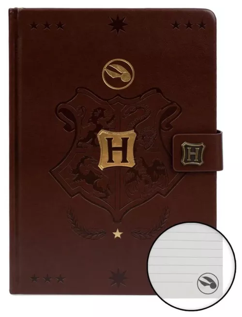 cumpără Accesoriu pentru birou Pyramid International SR72883 Harry Potter (Quidditch) A5 Premium Notebook în Chișinău 