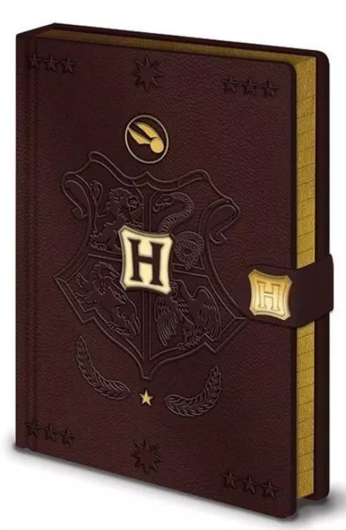 cumpără Accesoriu pentru birou Pyramid International SR72883 Harry Potter (Quidditch) A5 Premium Notebook în Chișinău 