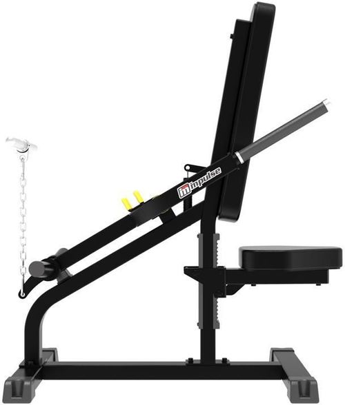 cumpără Banca pentru antrenament de forţă Impulse 54758 Biceps/Trips IFP1706 în Chișinău 