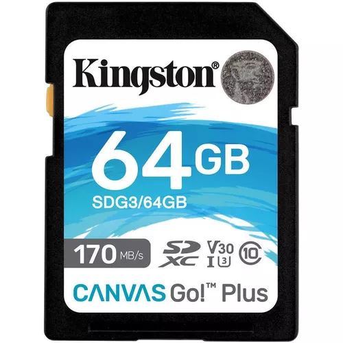 купить Флеш карта памяти SD Kingston SDG3/64GB в Кишинёве 