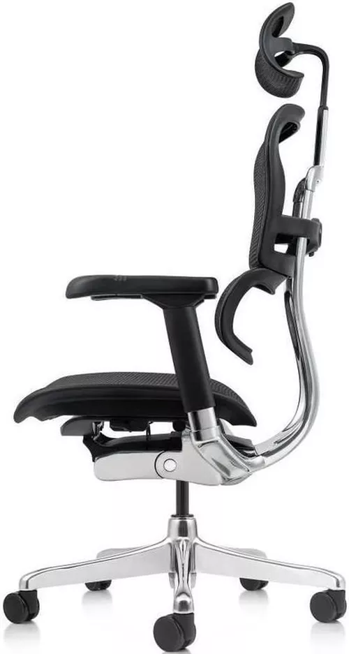 cumpără Fotoliu de birou ART Ergohuman Elite 2 Black T-168-B1 EHE2-AB-HAM-5D-L în Chișinău 