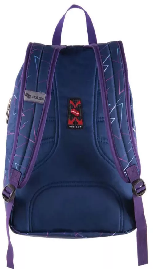 купить Детский рюкзак Pulse 122255 SOLO, 44x29x18 см., т.синий в Кишинёве 