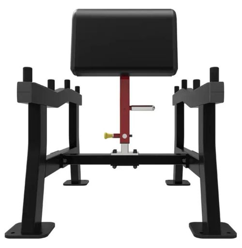 купить Силовой комплекс Impulse 54760 Arm Curl Sl7018 в Кишинёве 