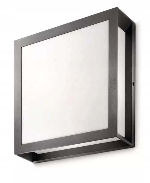 cumpără Aplică exterior Philips SKIES 42 W în Chișinău 