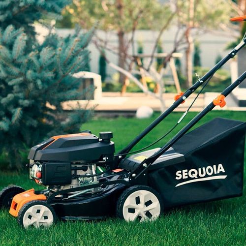cumpără Mașini de tuns iarba Sequoia SPLM4000 Masina de tuns iarba petrol 4.0 HP în Chișinău 
