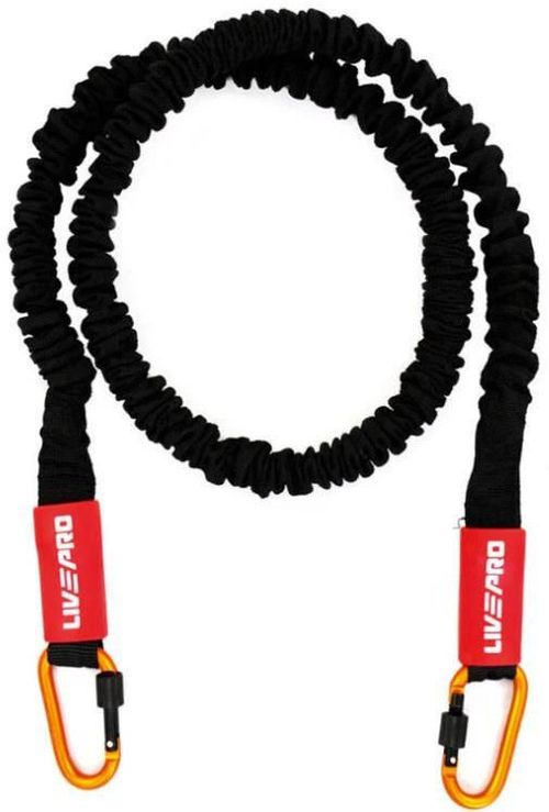 купить Эспандер LivePro LP8401/L/RD Resist Tube в Кишинёве 