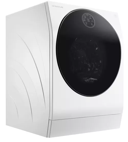 купить Стиральная машина с сушкой LG LSWD100E в Кишинёве 