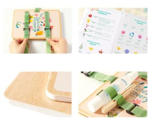 купить Набор для творчества Mideer MD1430 Set de Creație Descoperim natura в Кишинёве 