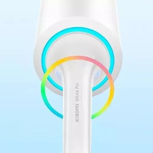 купить Щетка зубная электрическая Xiaomi Smart Electric Toothbrush T501 Gray в Кишинёве 