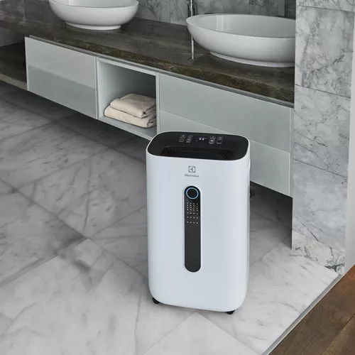 купить Осушитель воздуха Electrolux EDM-25L в Кишинёве 