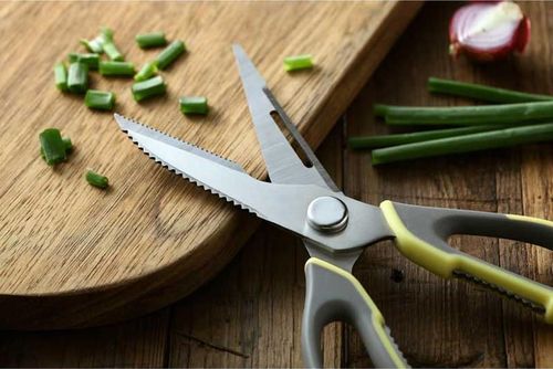 купить Ножницы Takumi Kitchen Scissors Multifunction в Кишинёве 