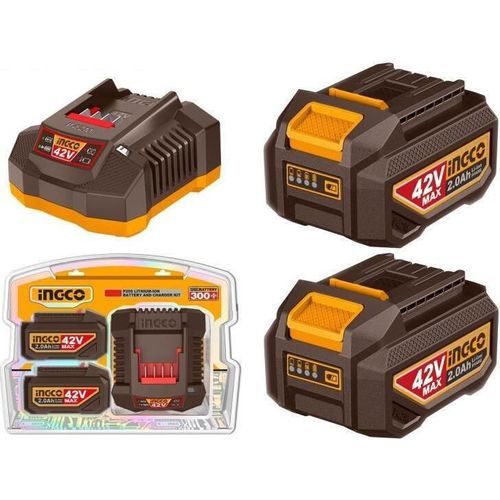 купить Зарядные устройства и аккумуляторы INGCO FBCPM20221 (51751) в Кишинёве 