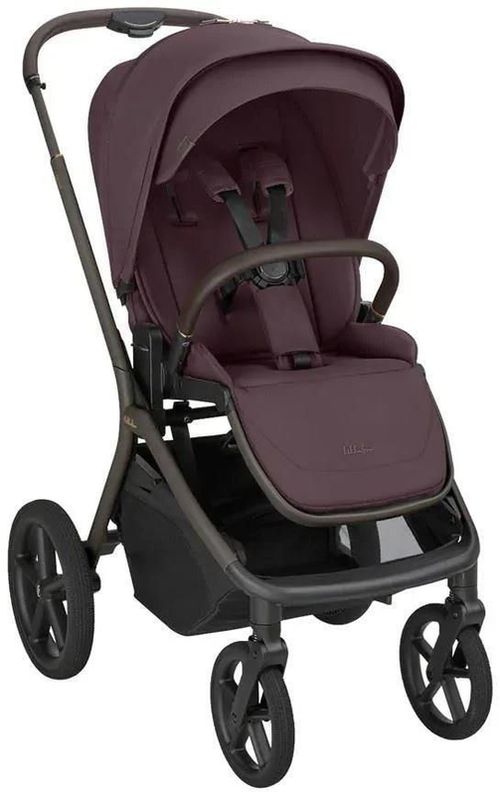 cumpără Сărucior pentru copii Kikka Boo 31001020173 Carucior 2in1 Goya Platinum Merlot în Chișinău 