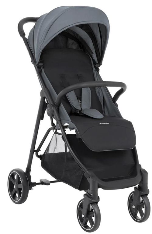 купить Детская коляска Kikka Boo 31001030181 Alexa Light Grey в Кишинёве 